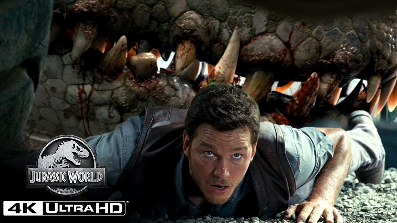 video-section-banner-image