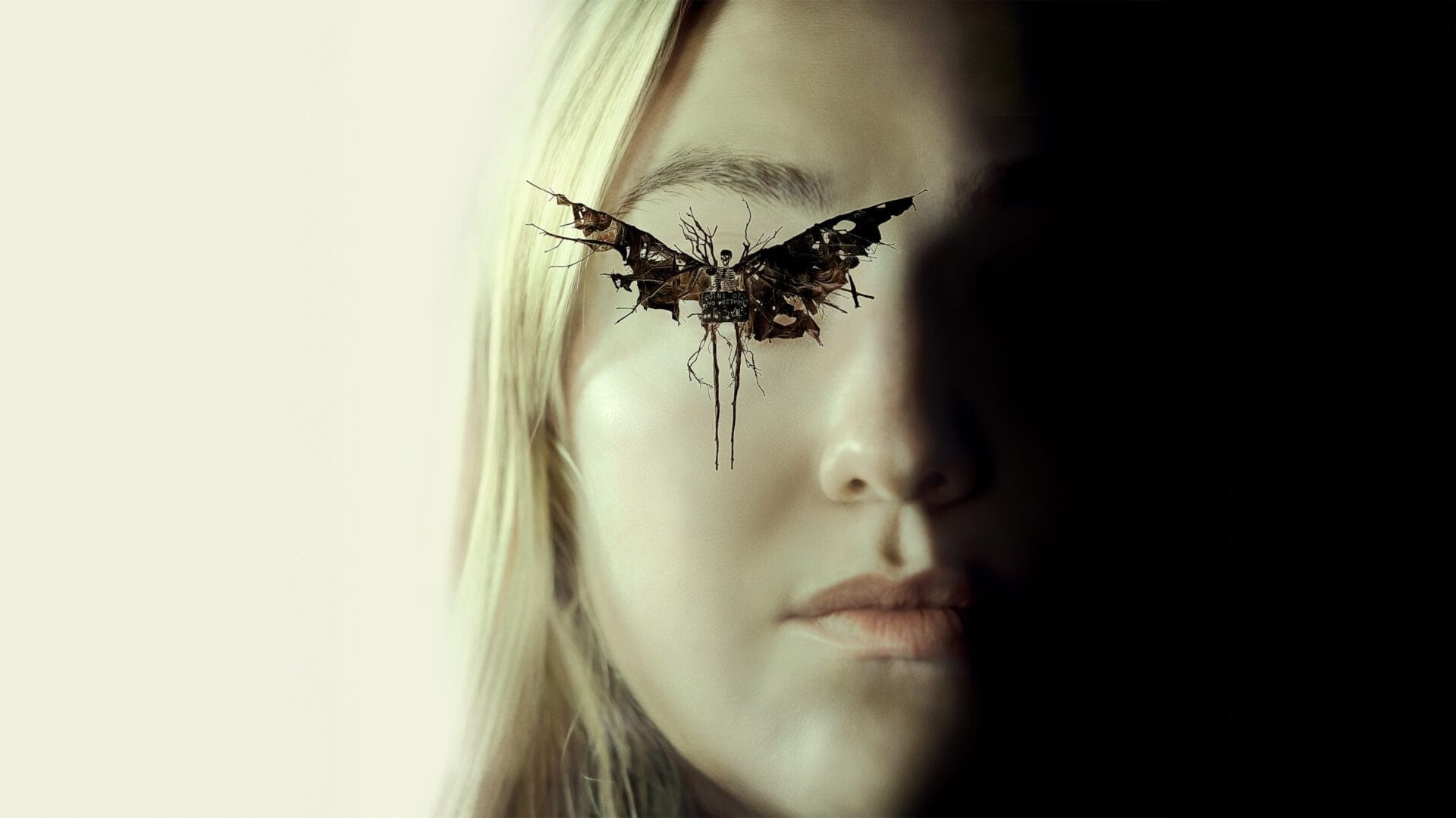 video-section-banner-image