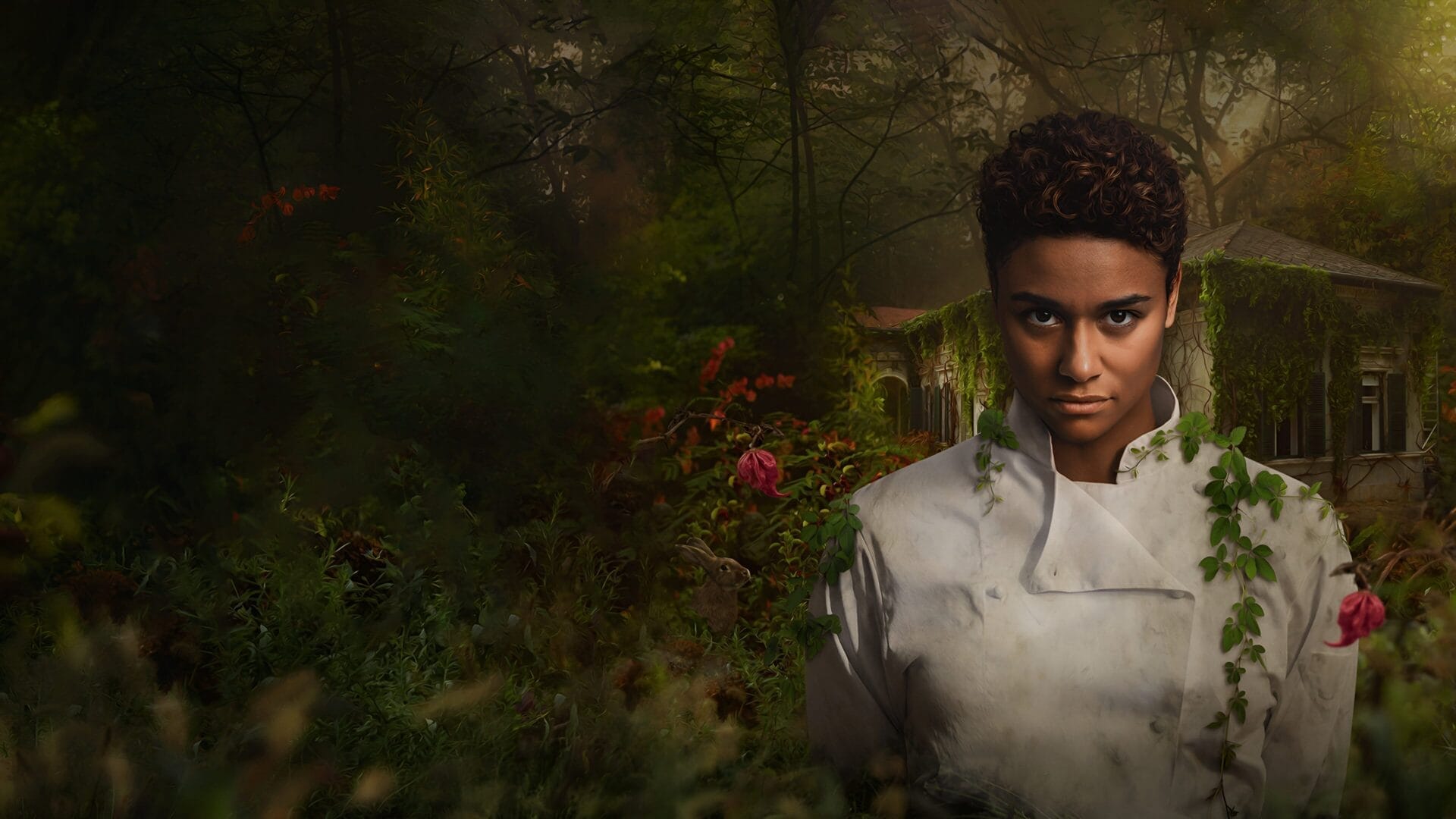 video-section-banner-image