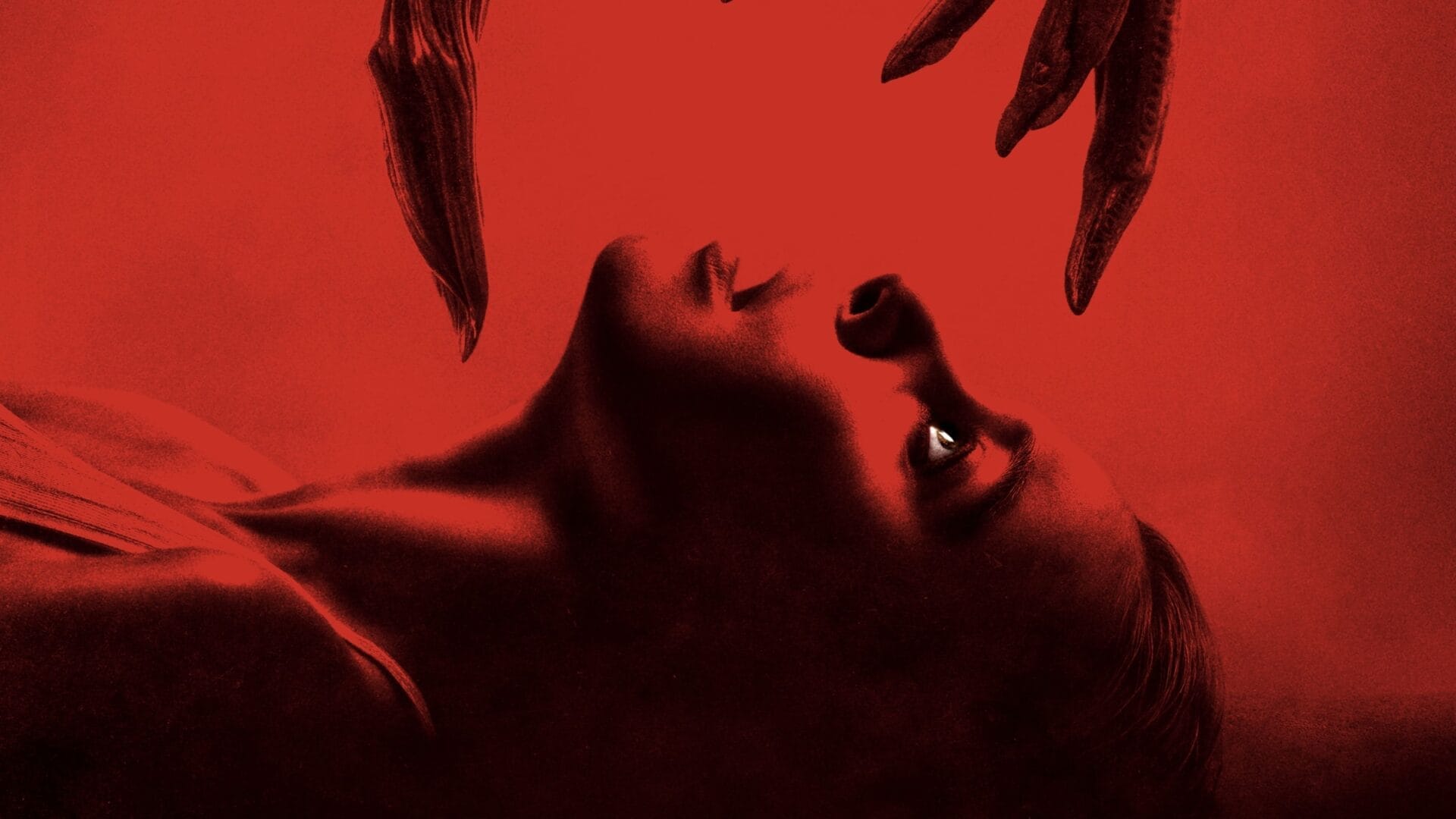 video-section-banner-image