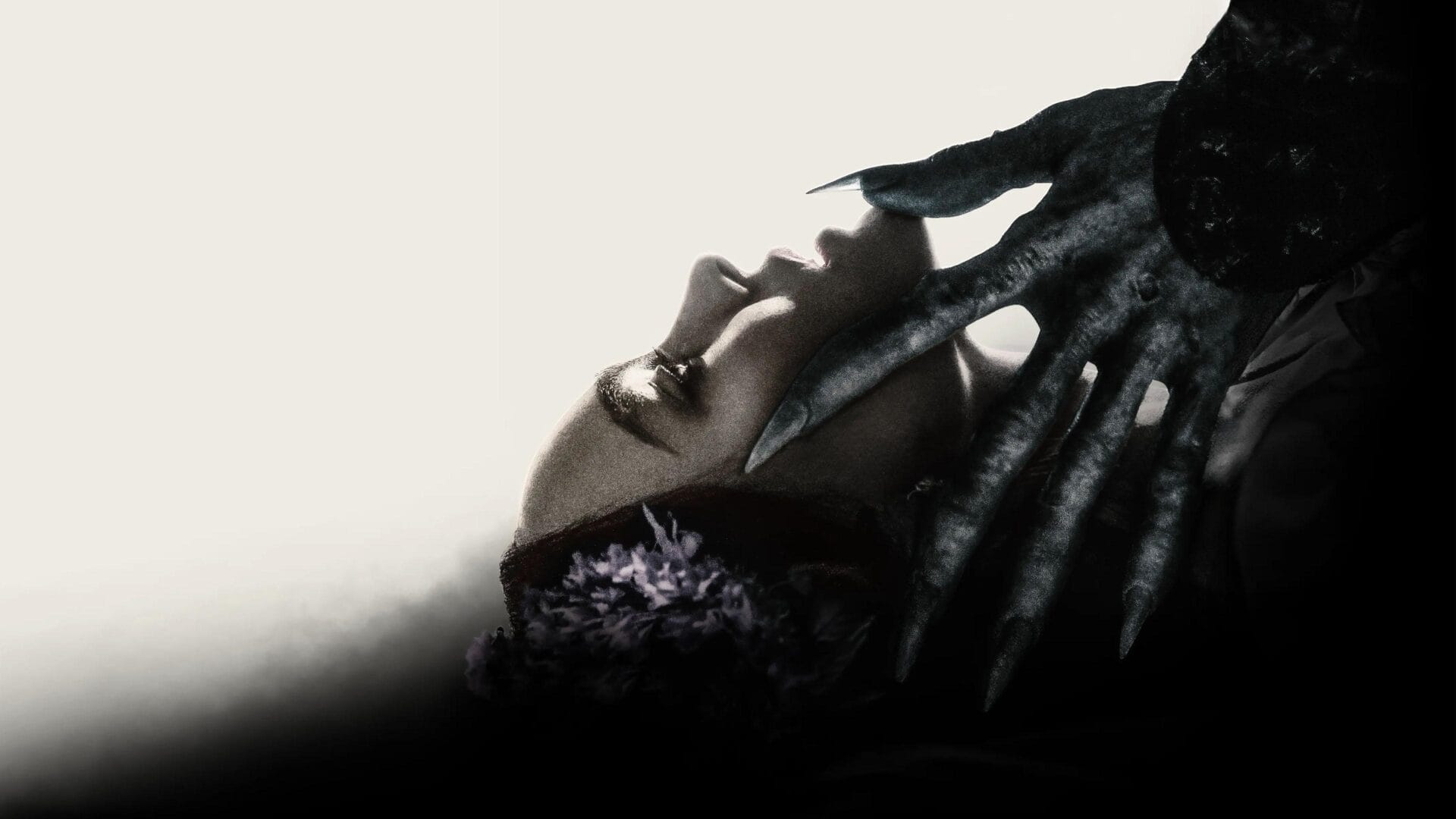 video-section-banner-image