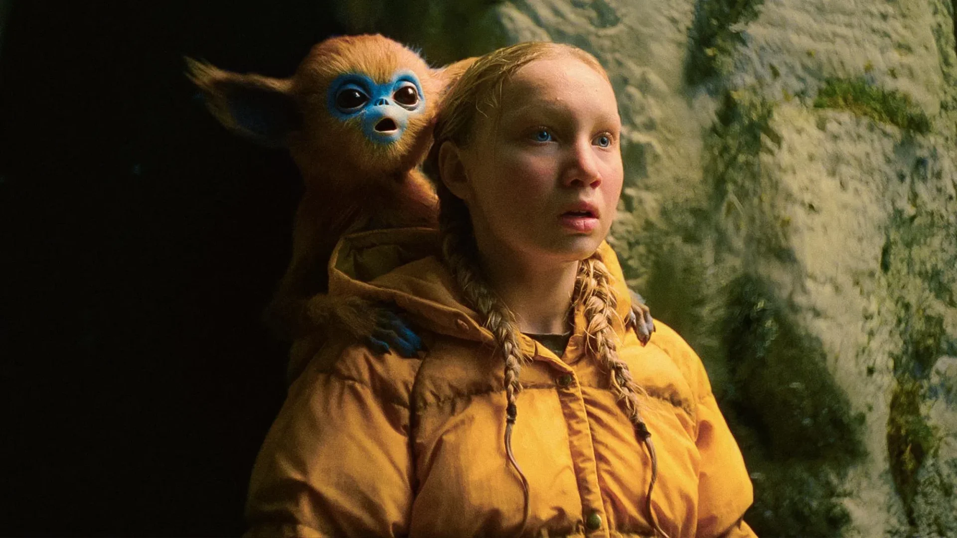 video-section-banner-image