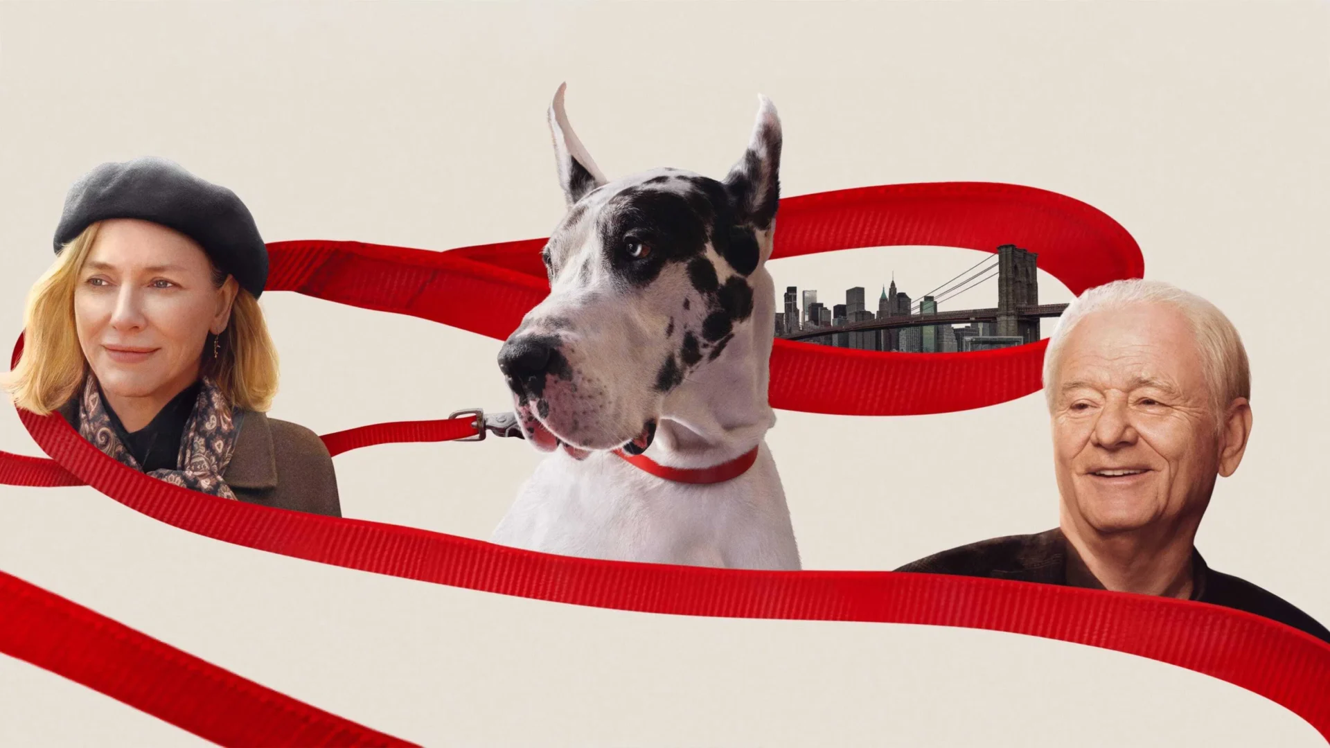 video-section-banner-image