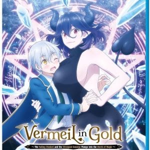 VERMEIL IN GOLD COMPLETE COLLECTION/BD