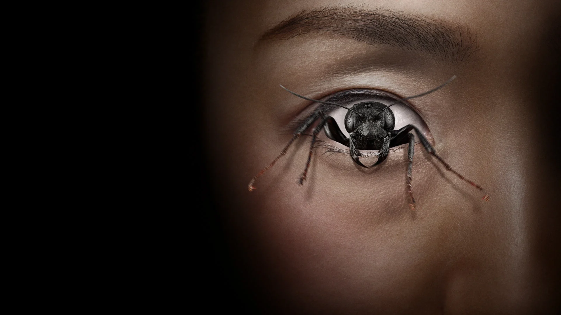 video-section-banner-image