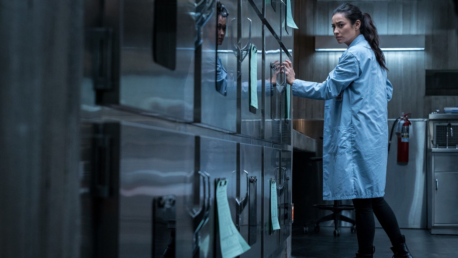 video-section-banner-image