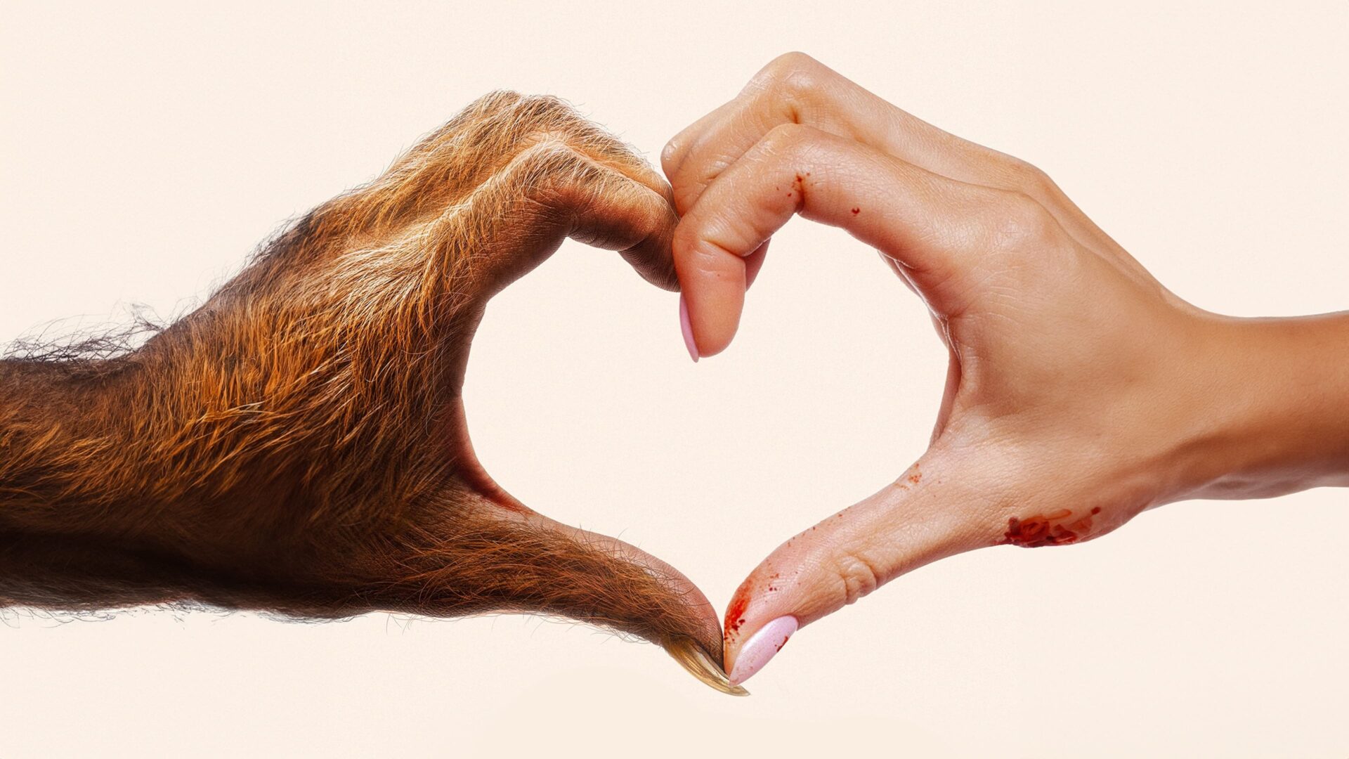 video-section-banner-image