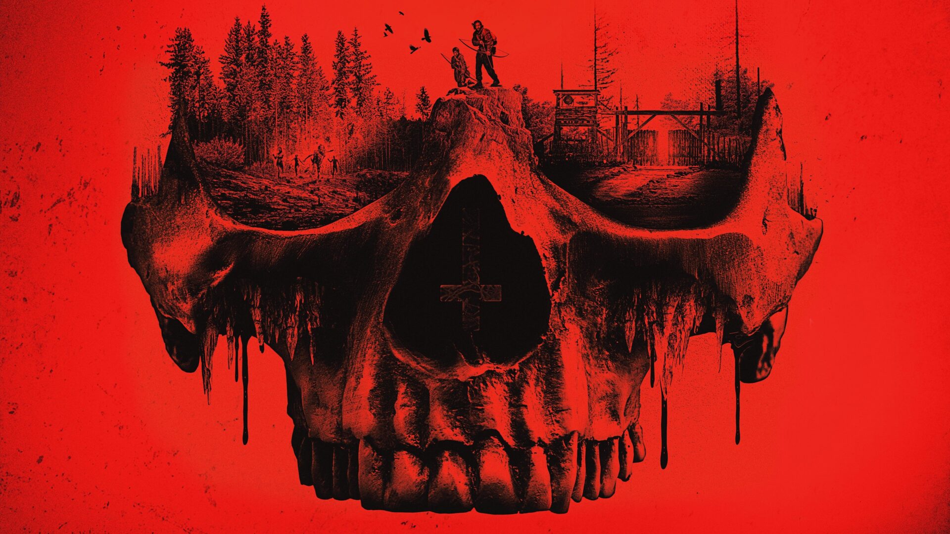 video-section-banner-image