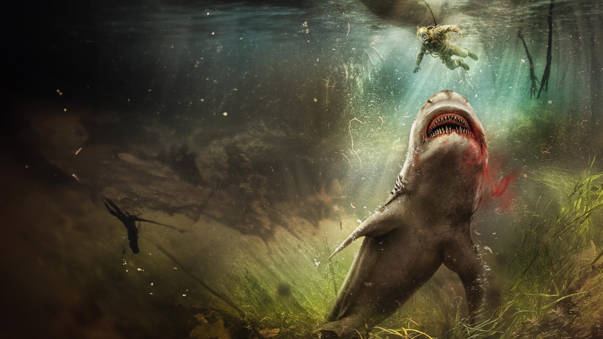 video-section-banner-image