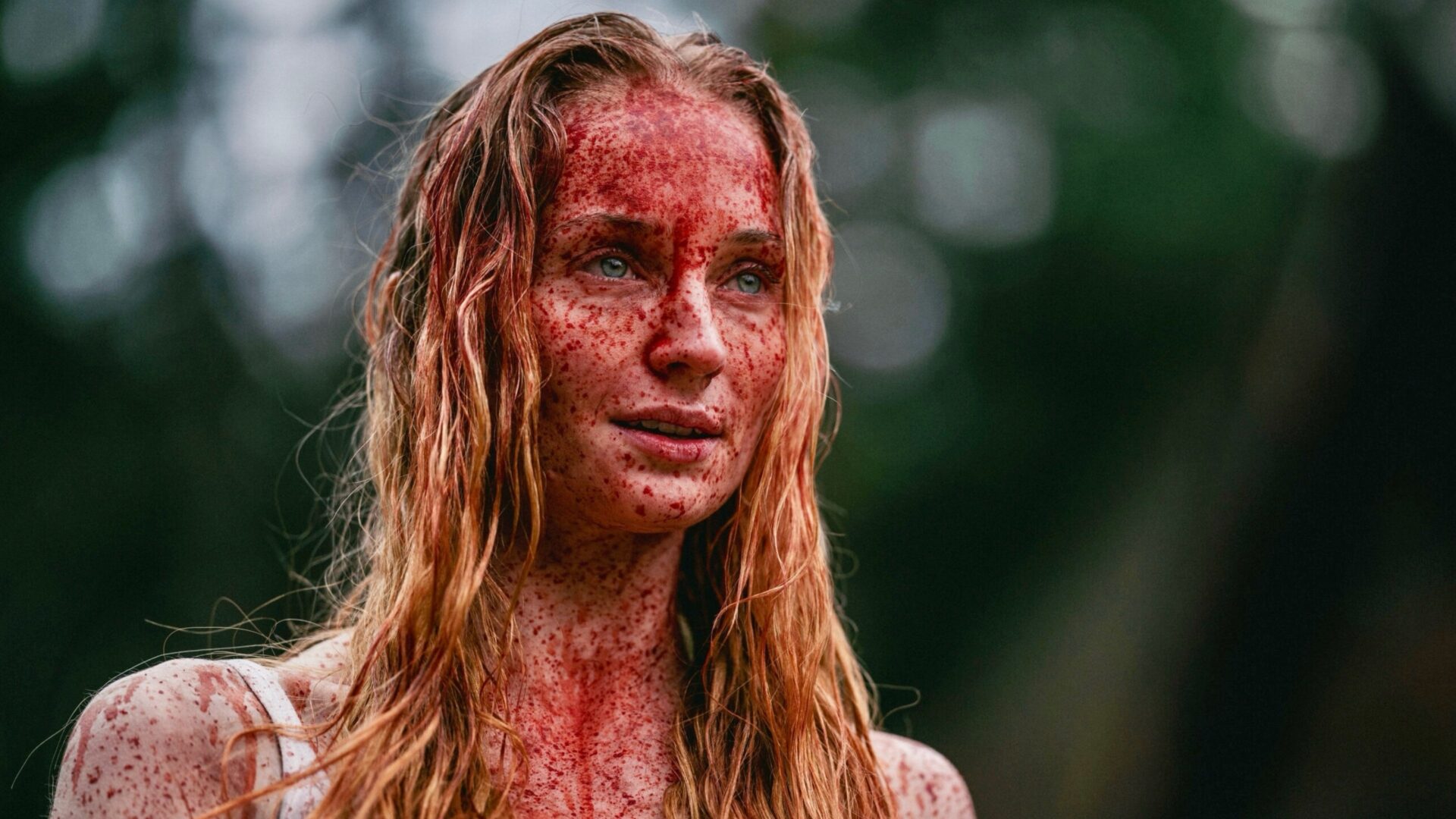 video-section-banner-image