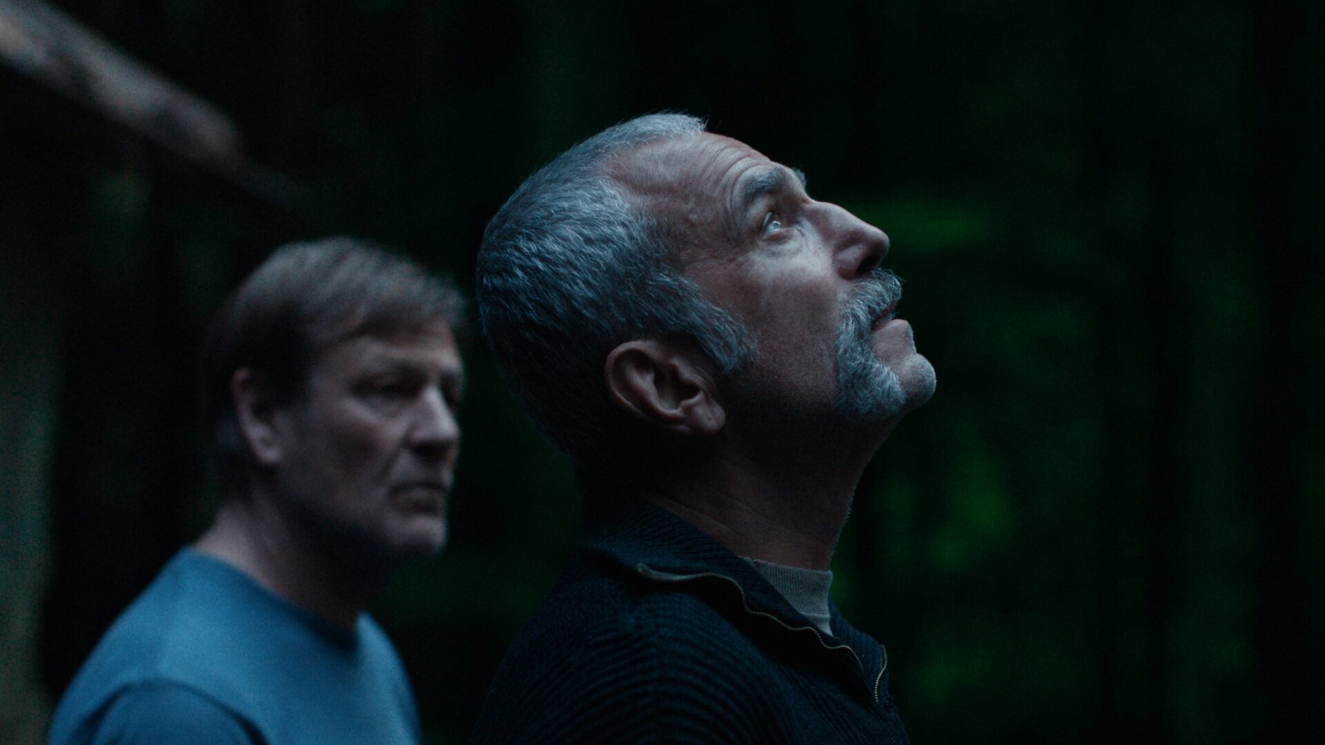 video-section-banner-image