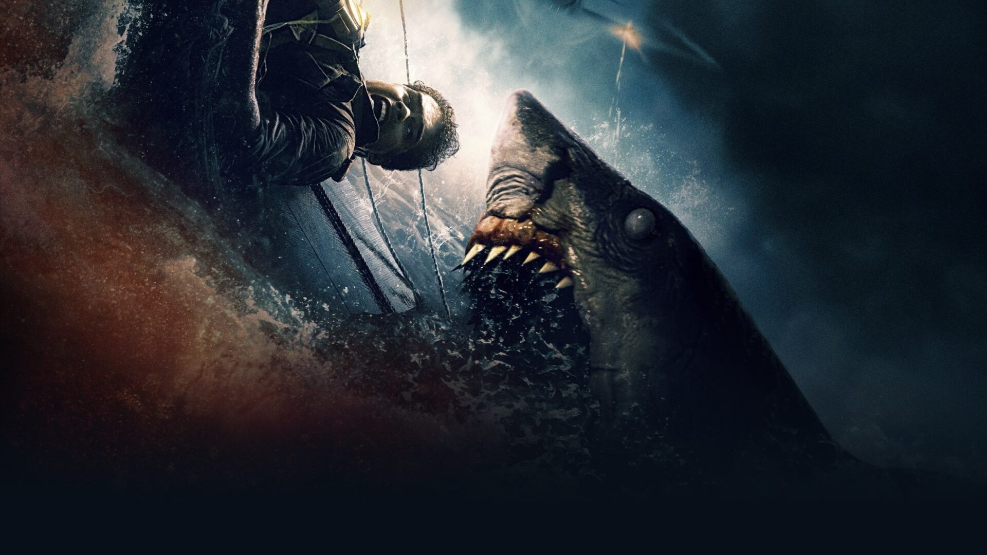 video-section-banner-image