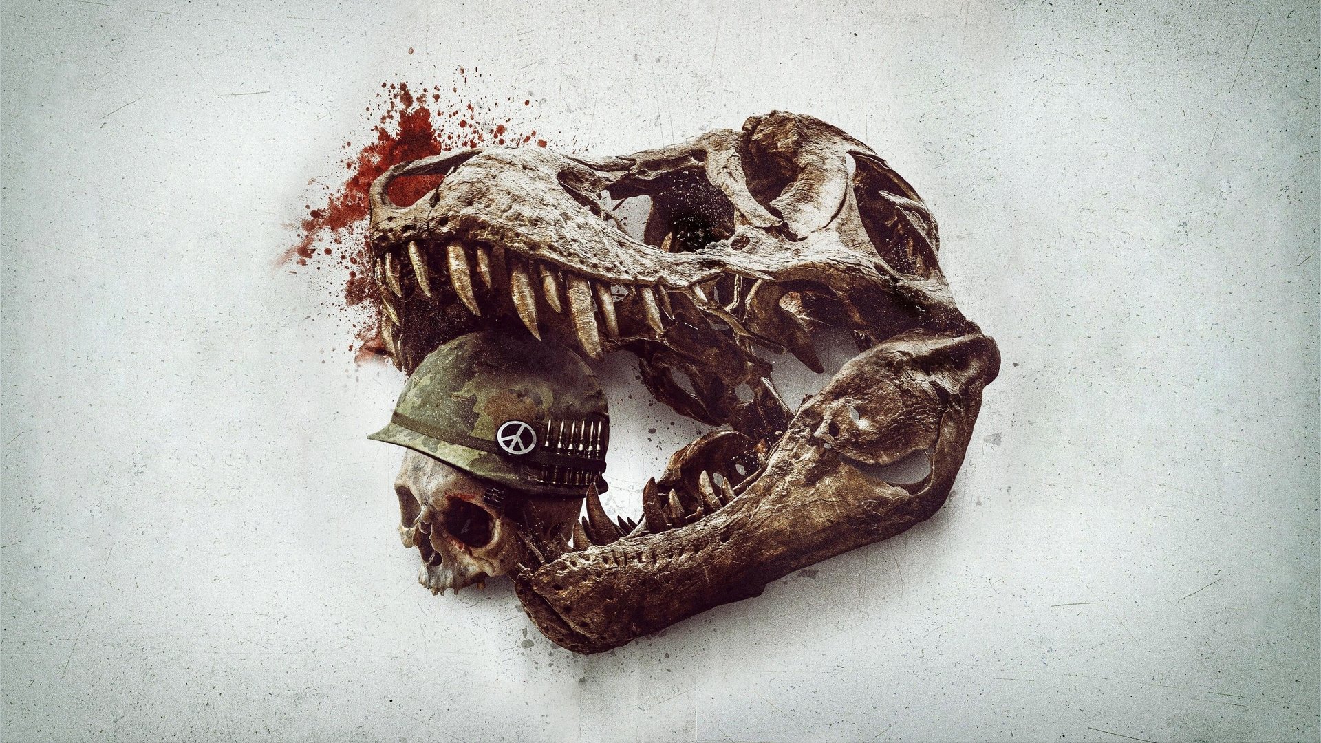 video-section-banner-image