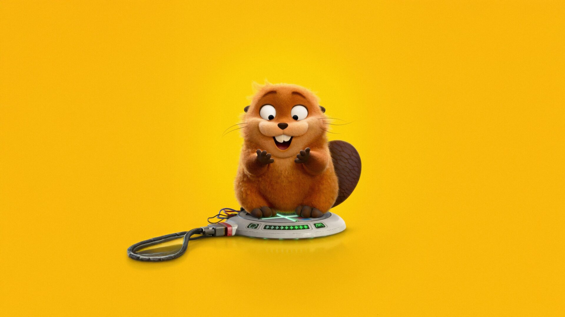 video-section-banner-image