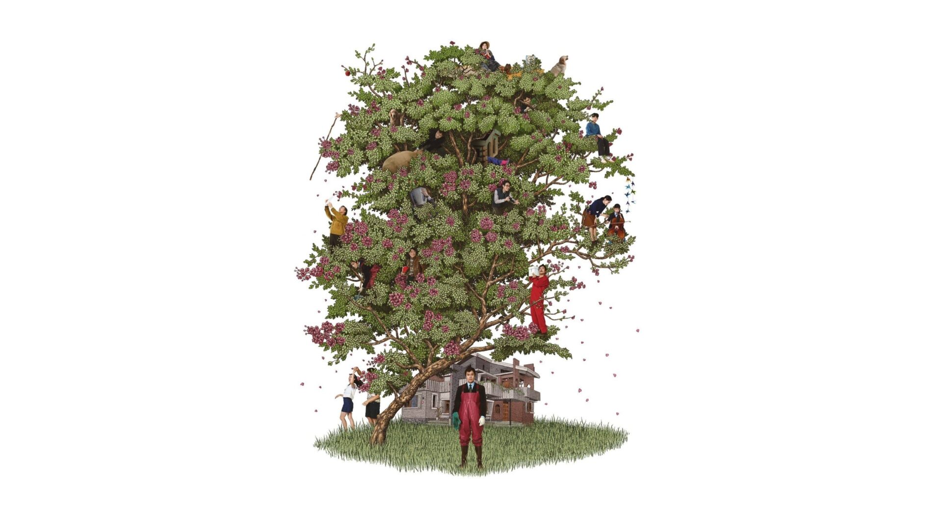 video-section-banner-image