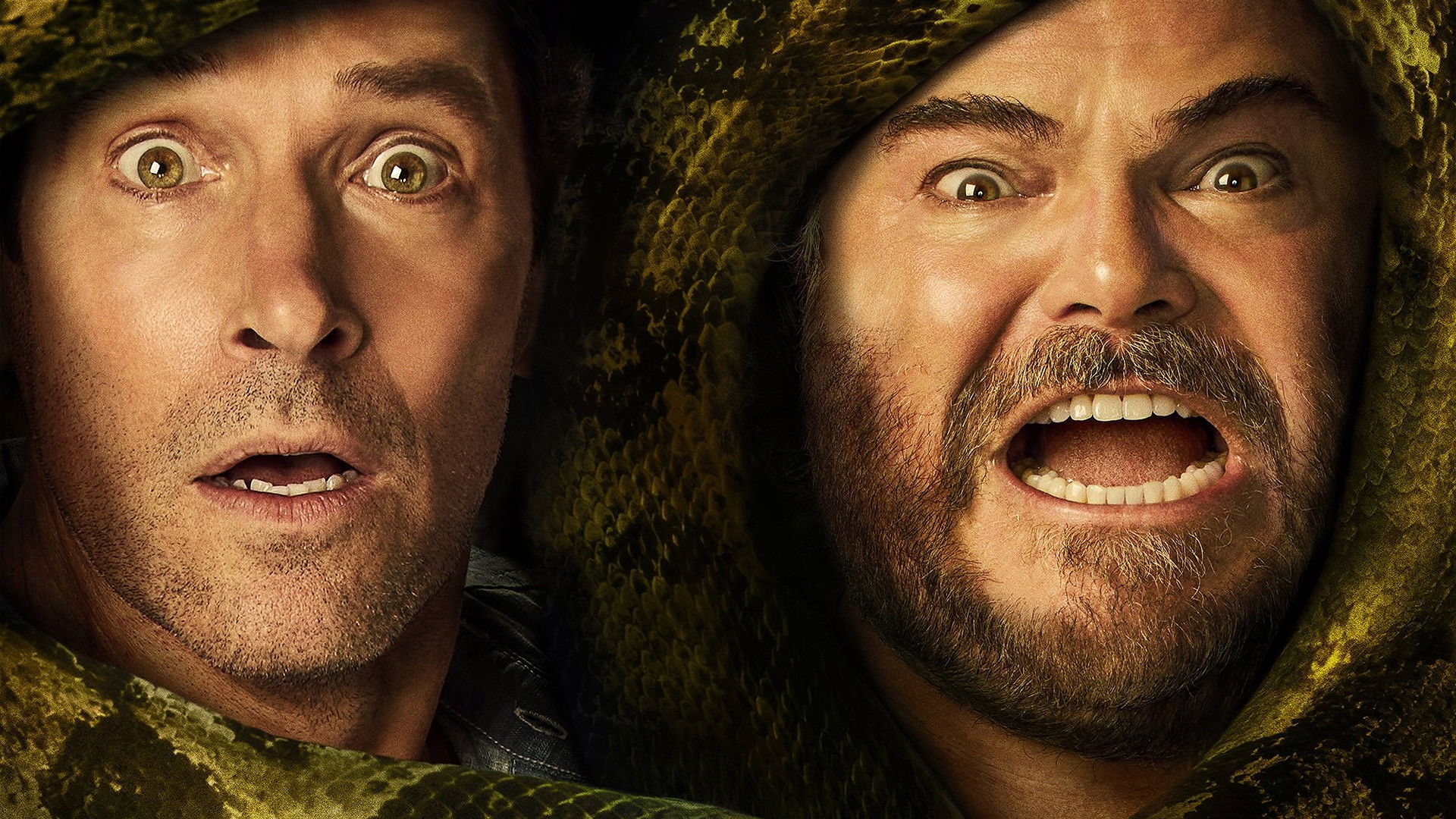 video-section-banner-image