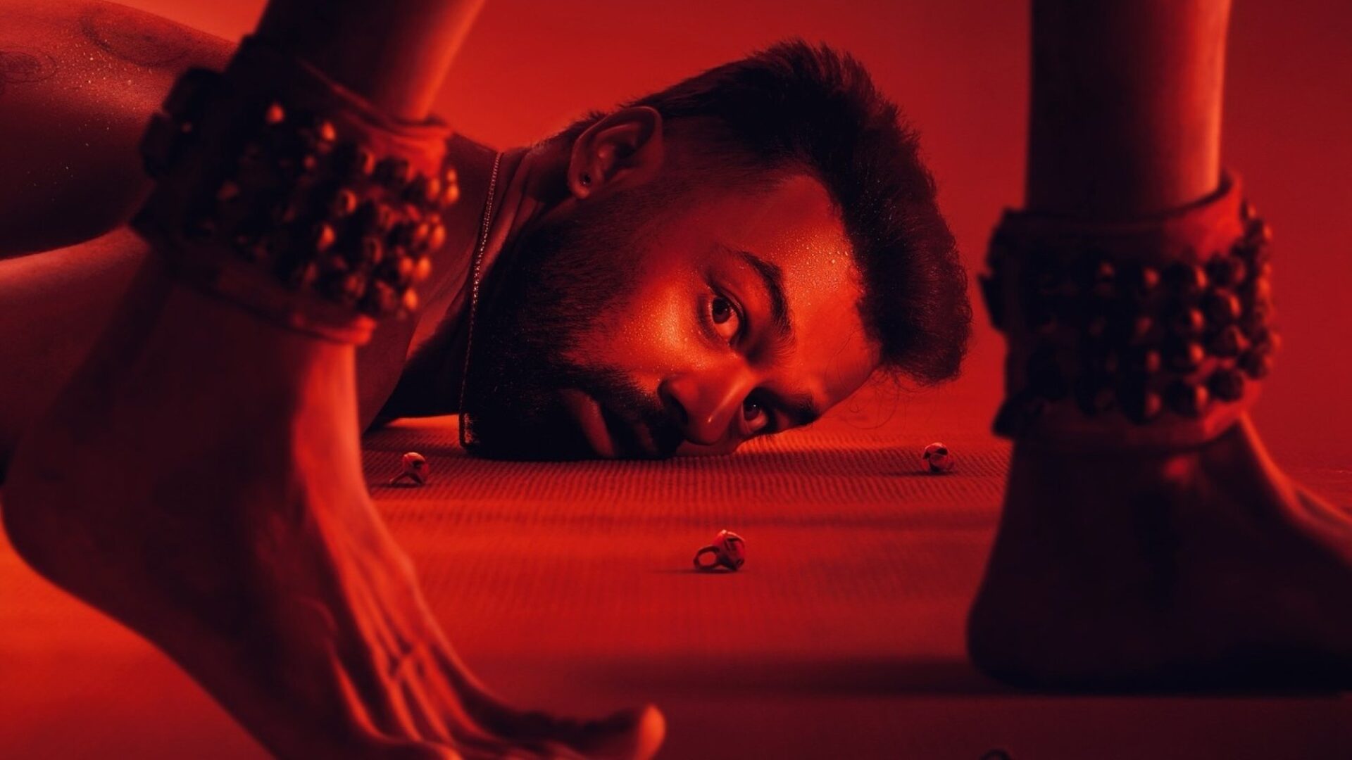 video-section-banner-image