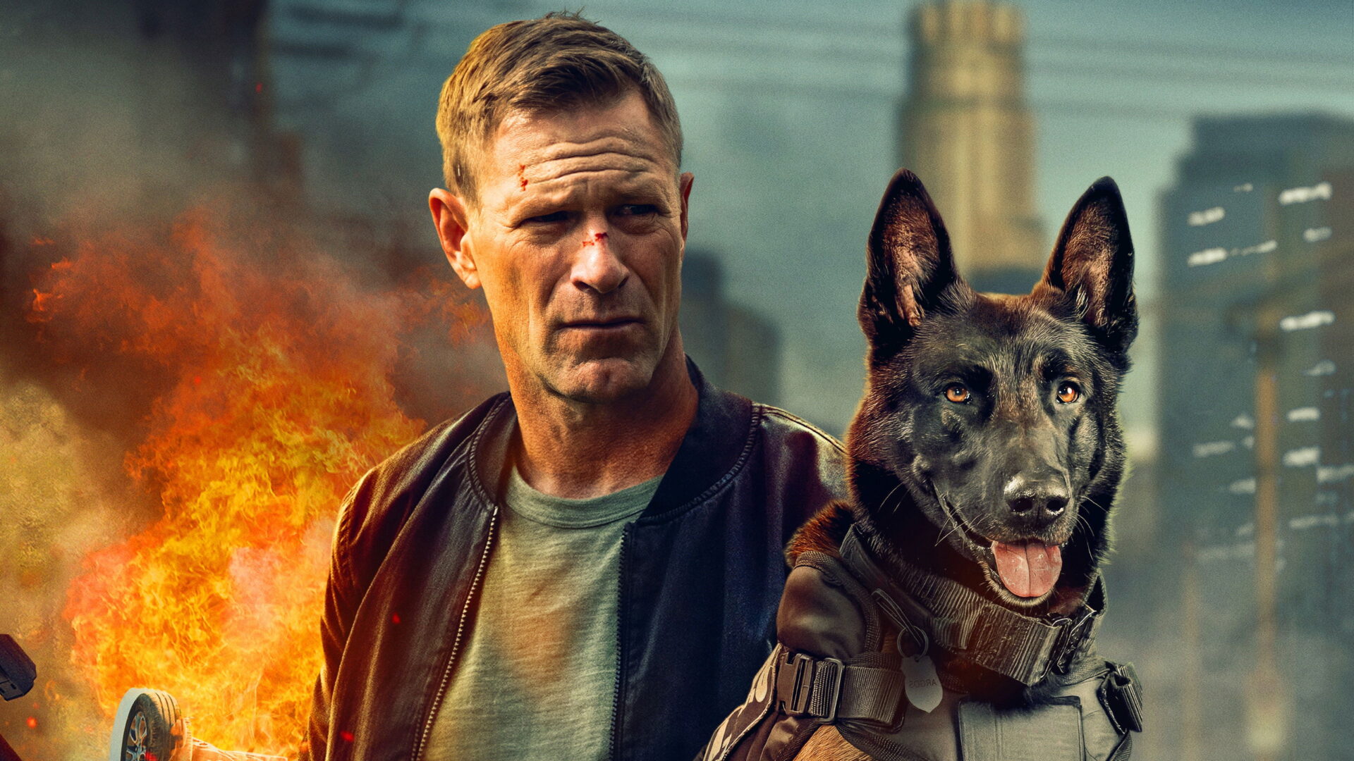 video-section-banner-image