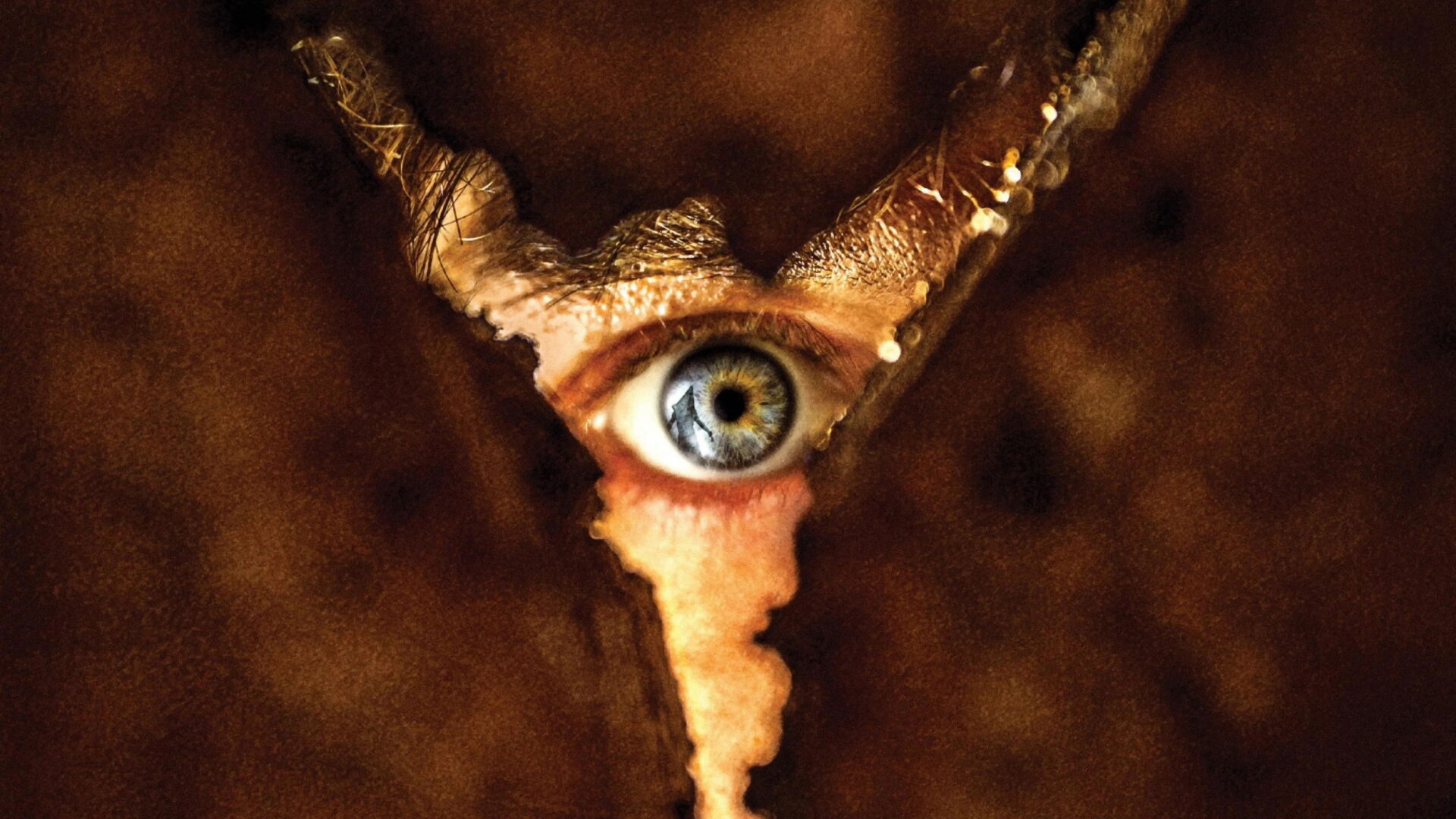 video-section-banner-image