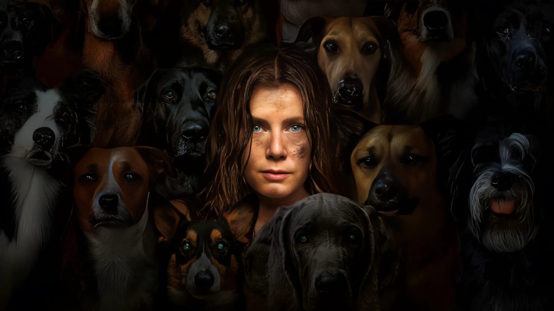 video-section-banner-image