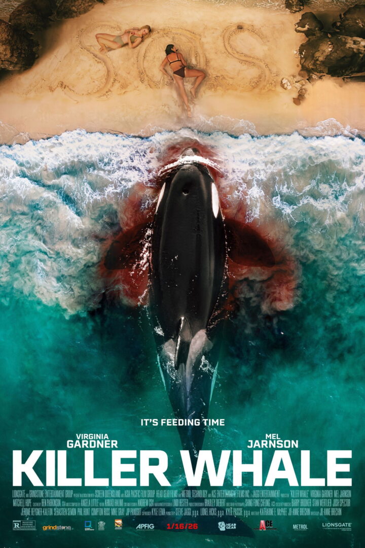 Killer Whale 2026